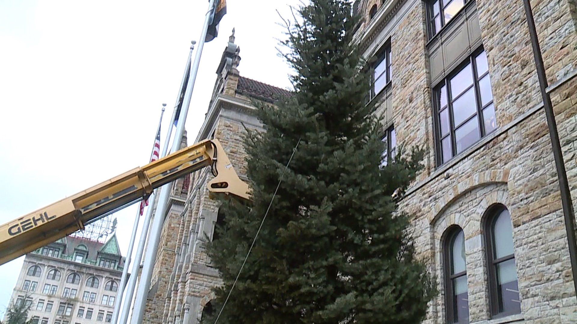 Christmas Tree Arrives at Courthouse Square in Scranton