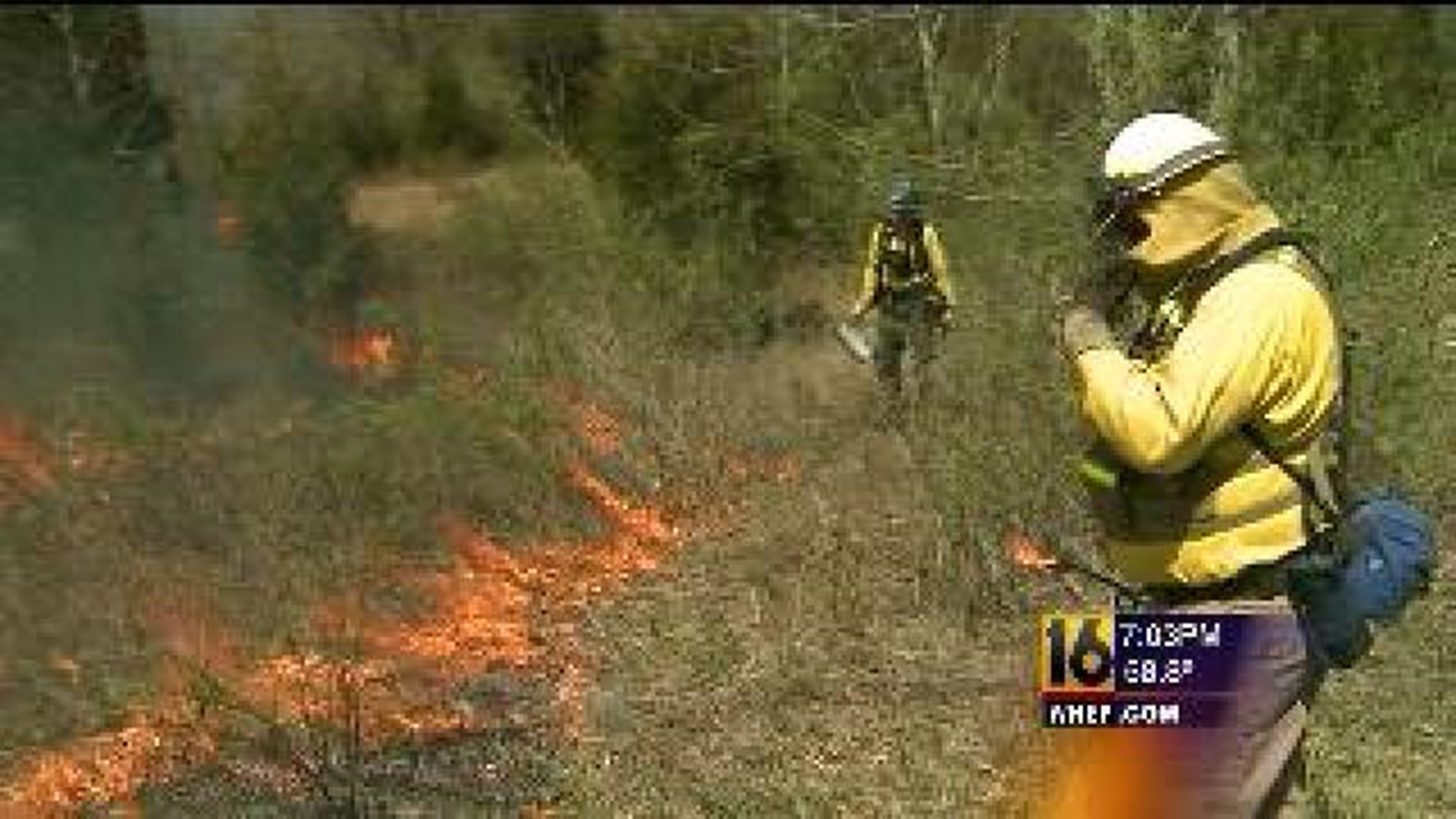Park Officials Set Forest on Fire