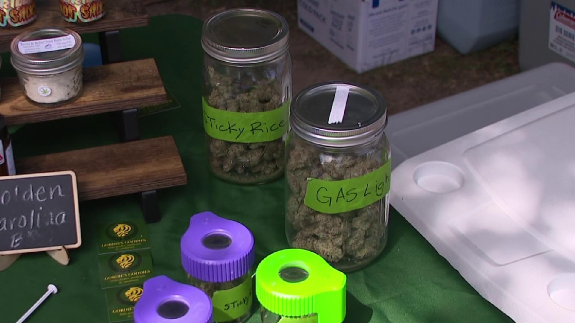 The Pocono Canna World Fair showcases cannabis products and live entertainment this weekend in Monroe County.