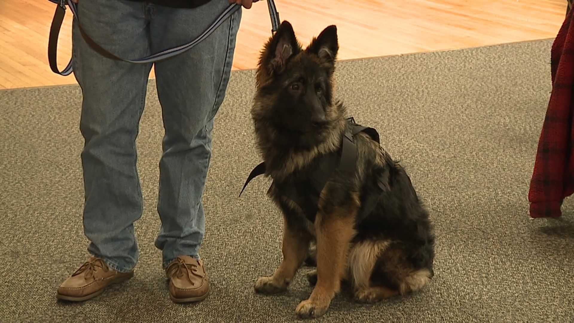 The fundraiser supported the Gouldsboro Police Department's new K9 officer Porsche.