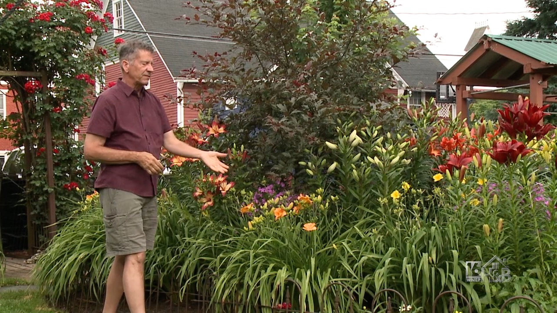 How To Use Lilies And Astilbe In Your Garden