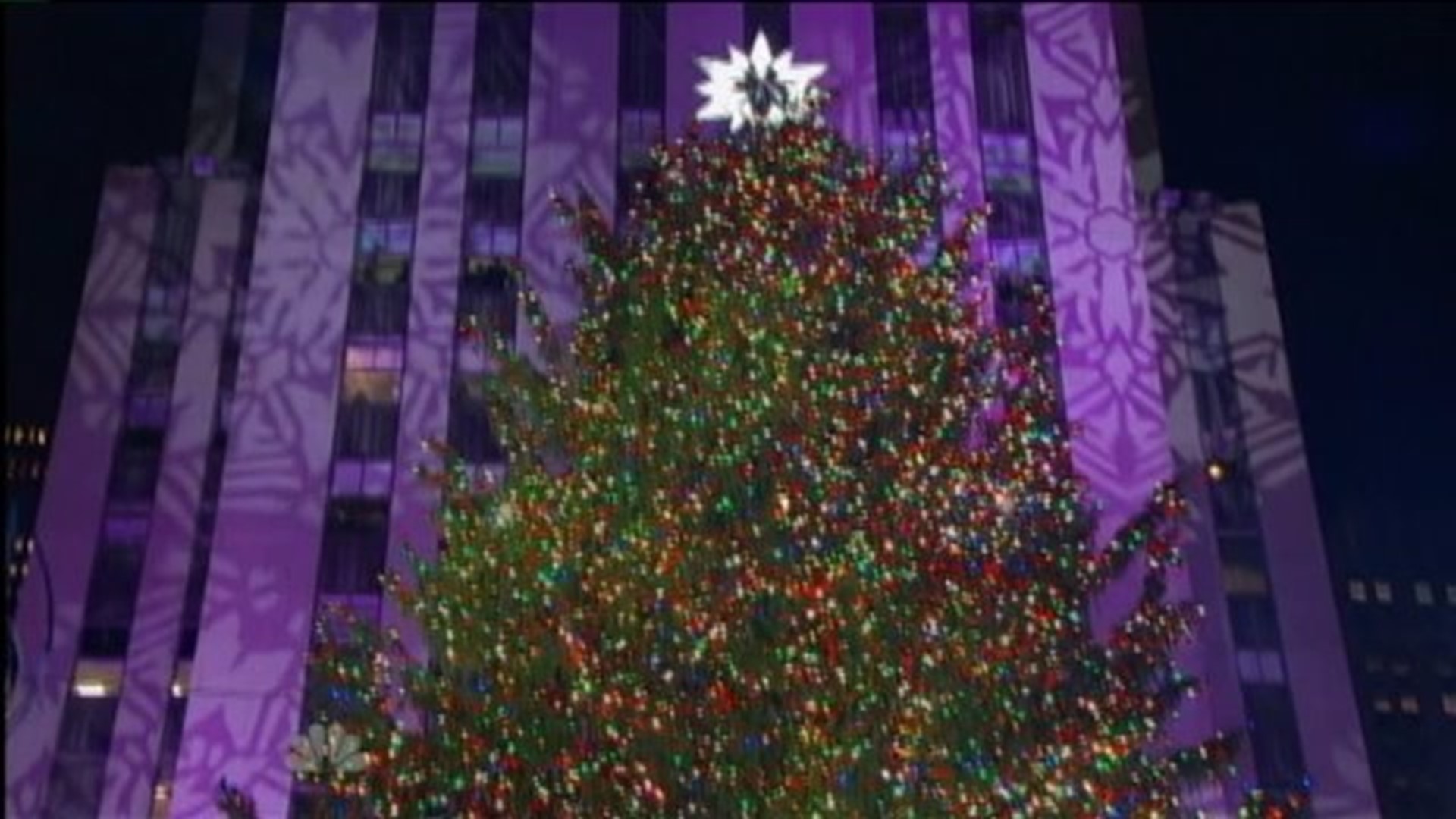 Columbia County Tree Lights Up Rockefeller Center
