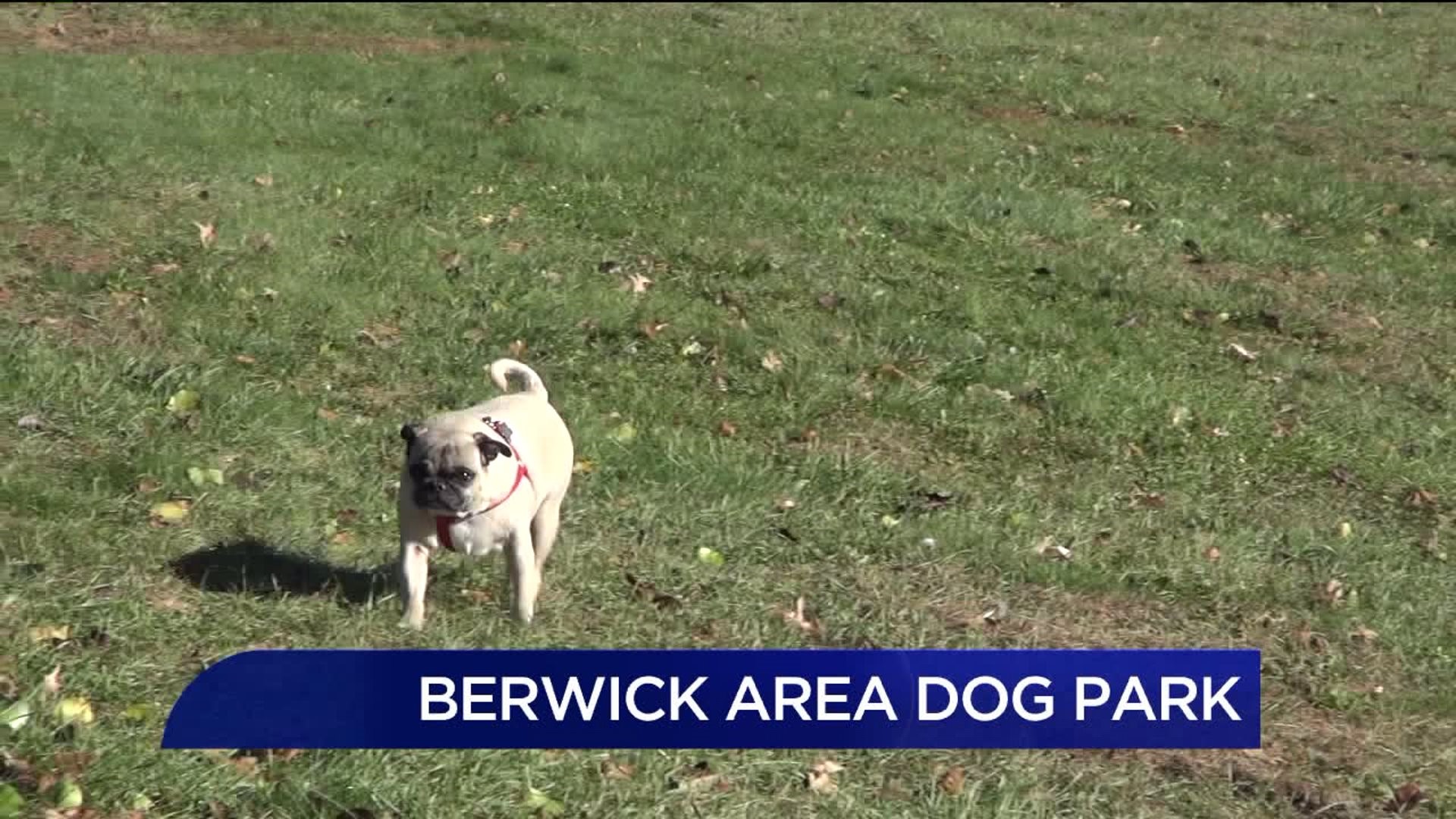 Berwick Area Dog Park in the Making