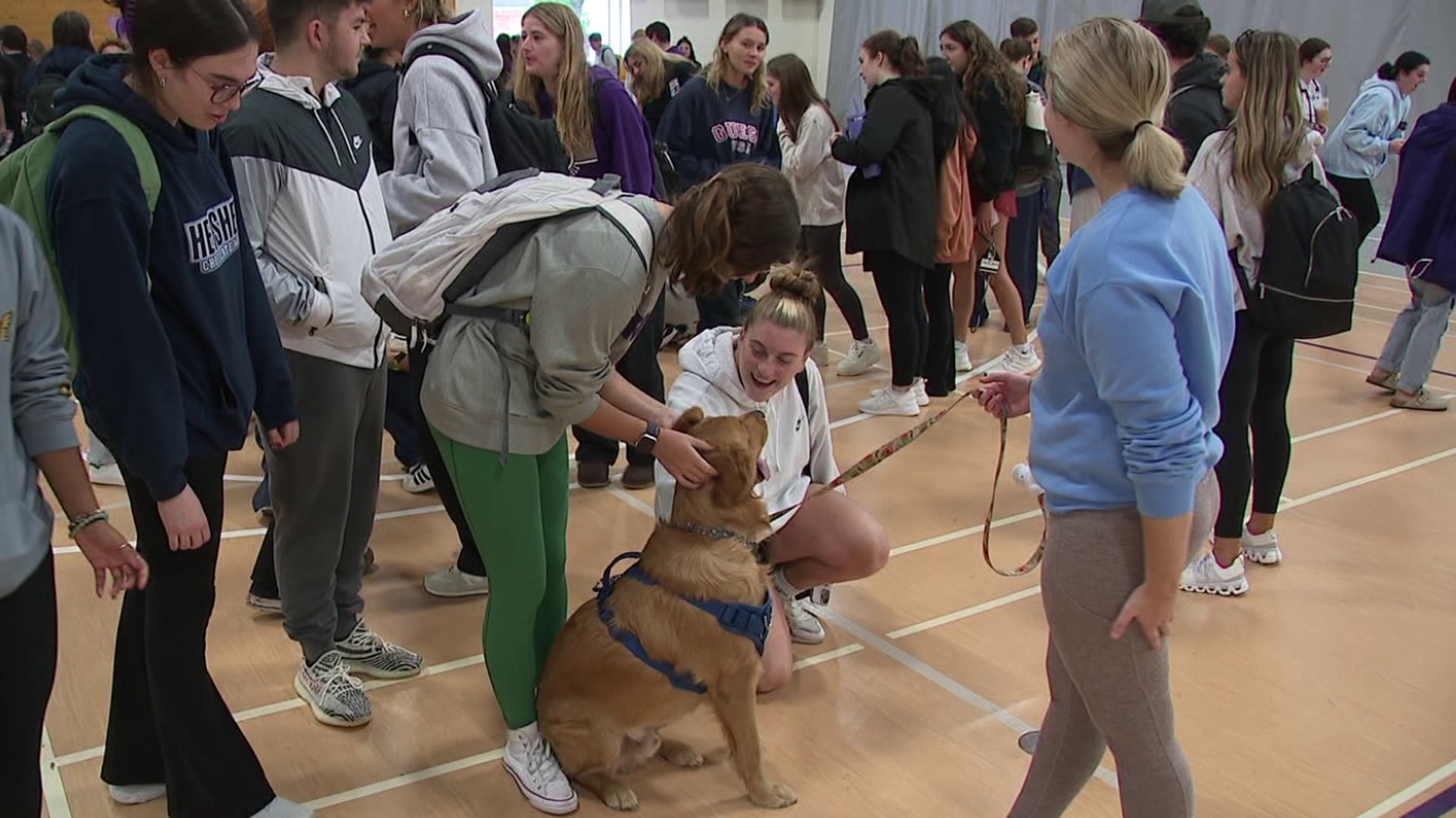 Each semester, dogs are welcomed onto campus for a pet therapy event. Newswatch 16's Courtney Harrison spoke with students who look forward to this event.