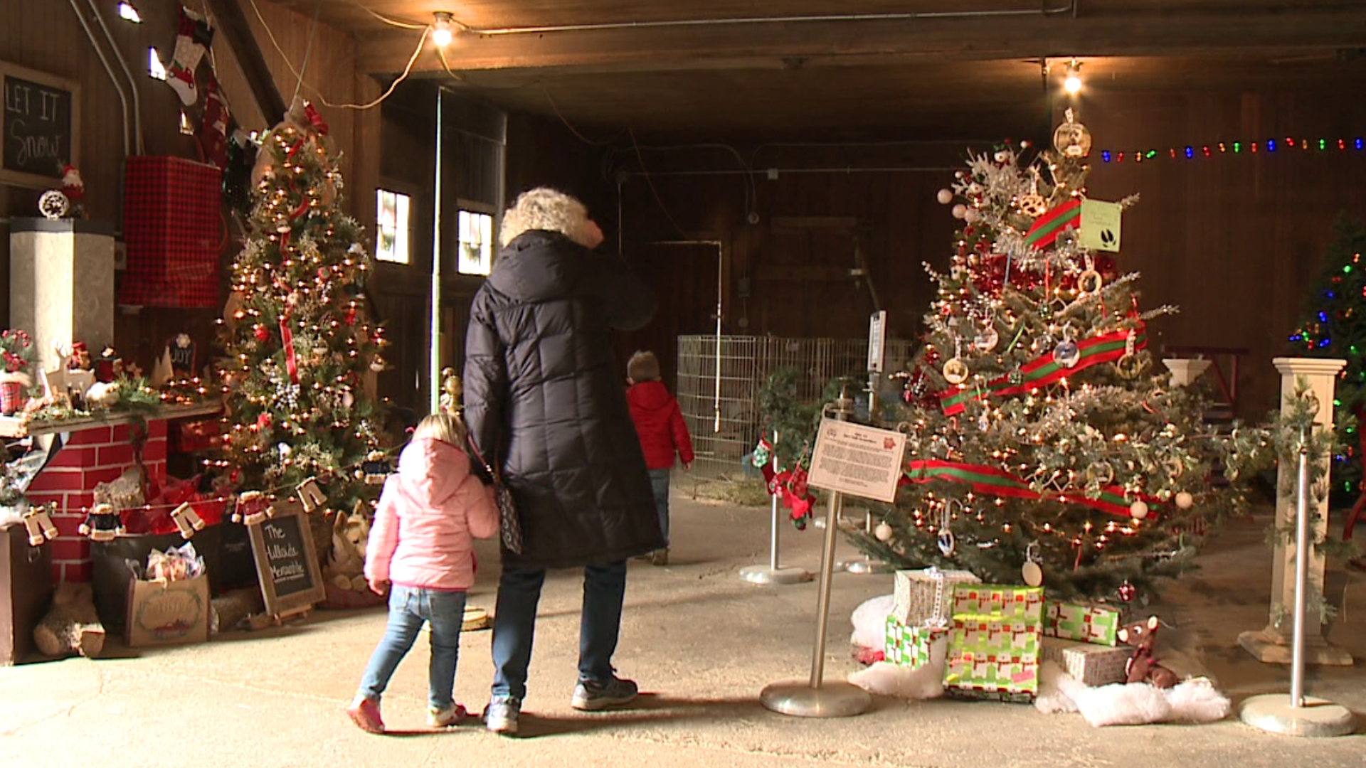 The Lands at Hillside Farms had visitors vote for their favorite Christmas displays to help animals over the winter.