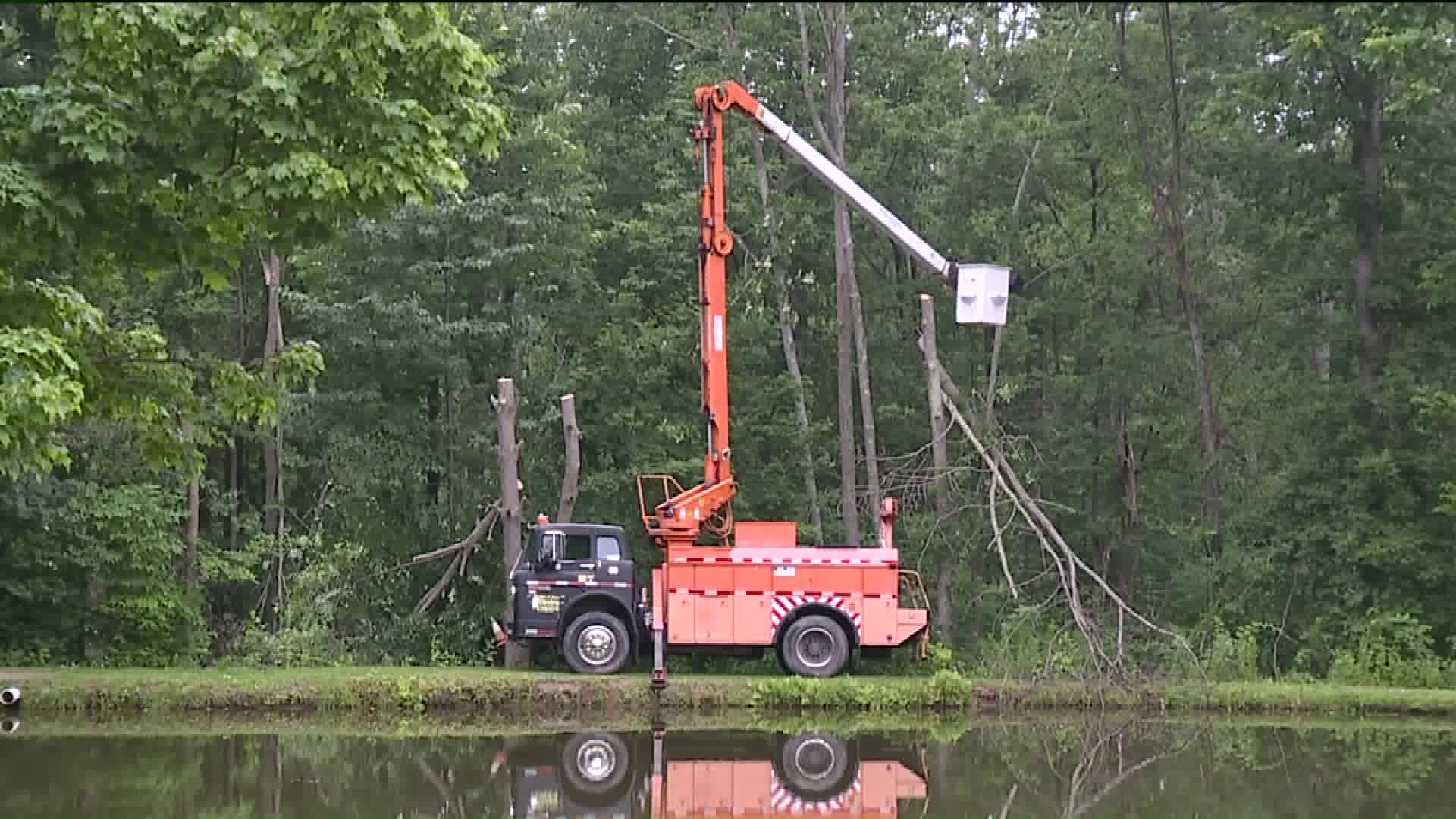 Tree Cutter Injured on the Job in Luzerne County