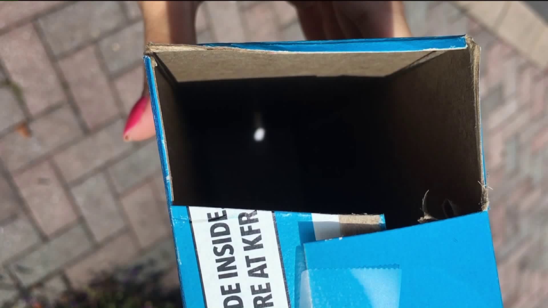 No Glasses? No Problem! Other Viewing Options for Solar Eclipse