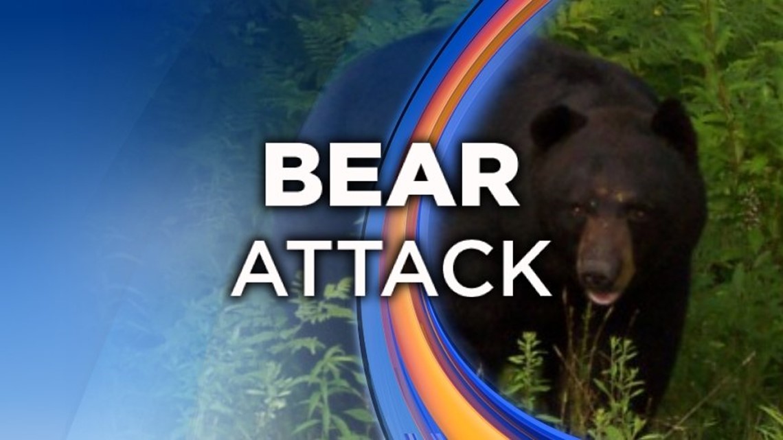 Lancaster city black bear was caught; so what happens next? A Q&A with Pa.  Game Commission, Local News