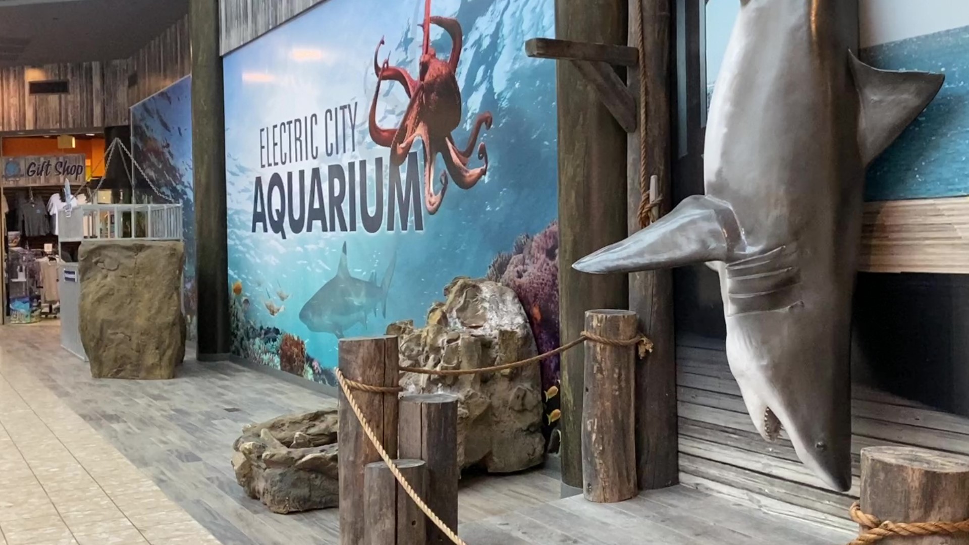 The Electric City Aquarium and Reptile Den, inside the Marketplace at Steamtown, is giving folks an escape from the cold with its annual Wine Under the Waves.