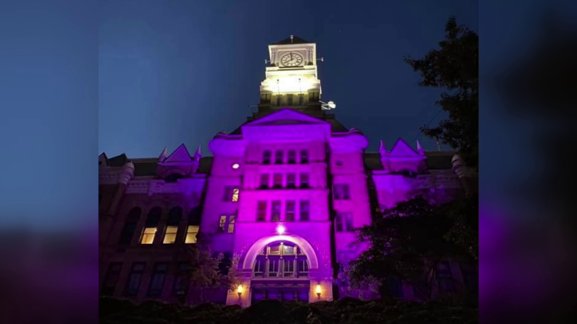 The courthouse will light up purple every night through the month of September.