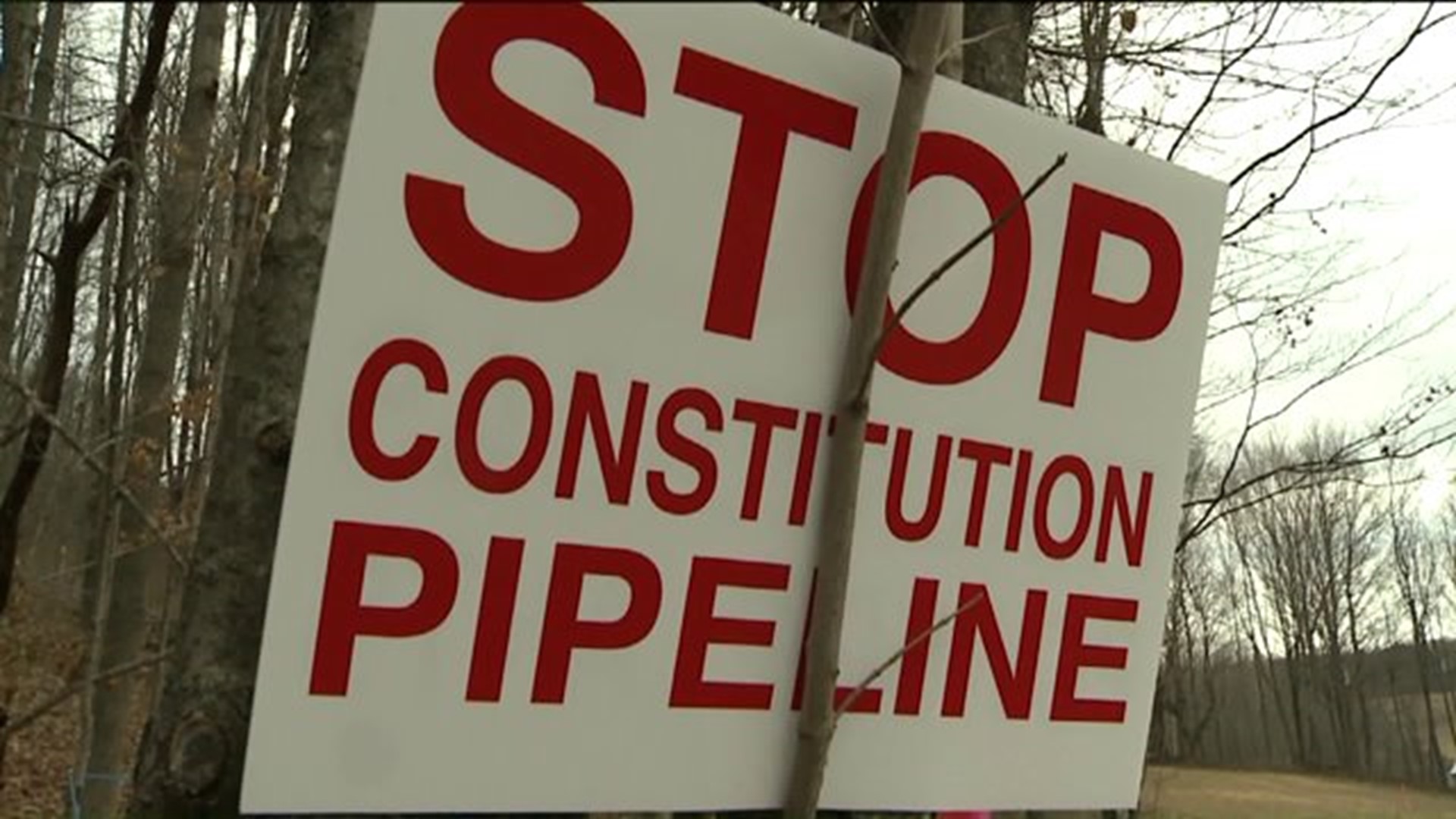 Trees on Chopping Block for Natural Gas Pipeline