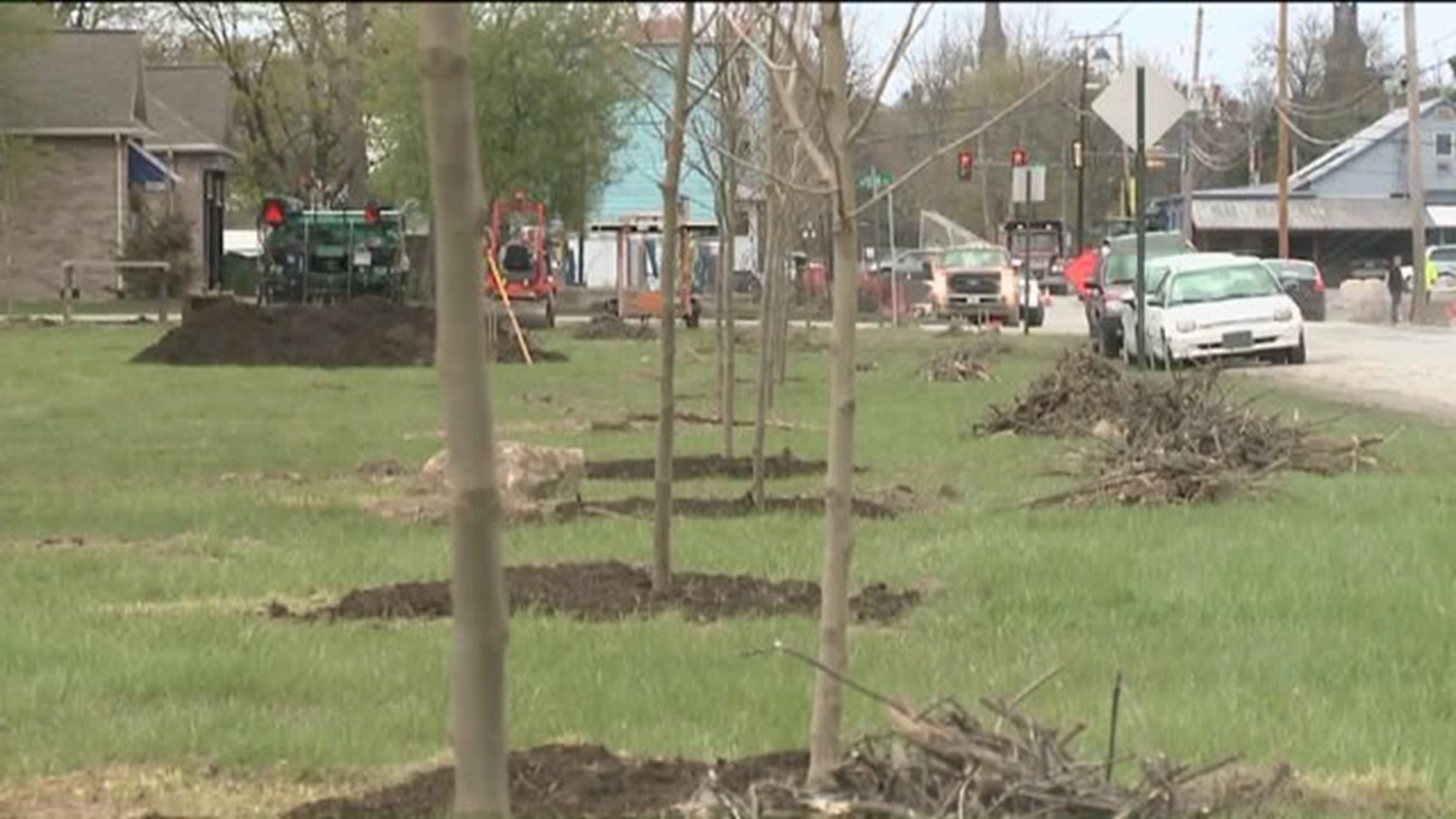 Volunteers Needed to Plant Trees in Lewisburg