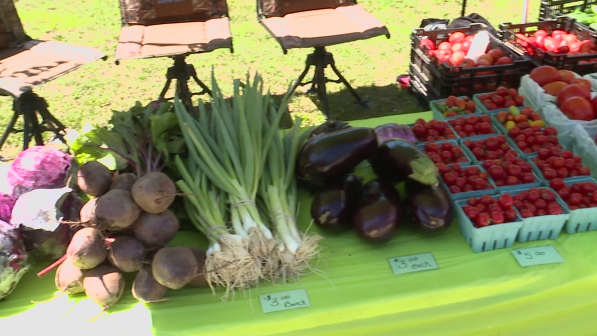 Electric City Farmers Market brings fresh, local produce to downtown Scranton