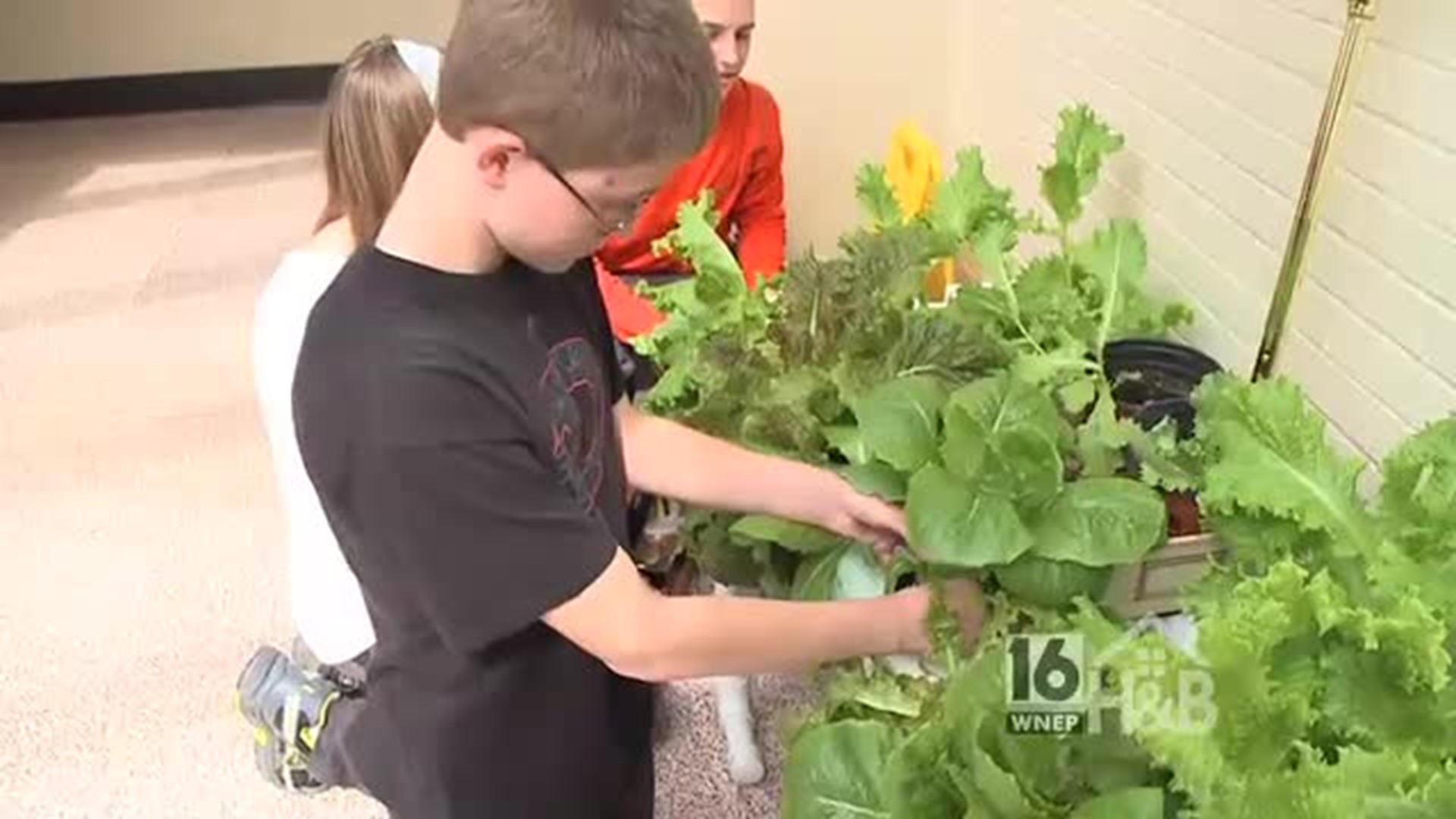 Hydroponics with Weatherly Area School Students