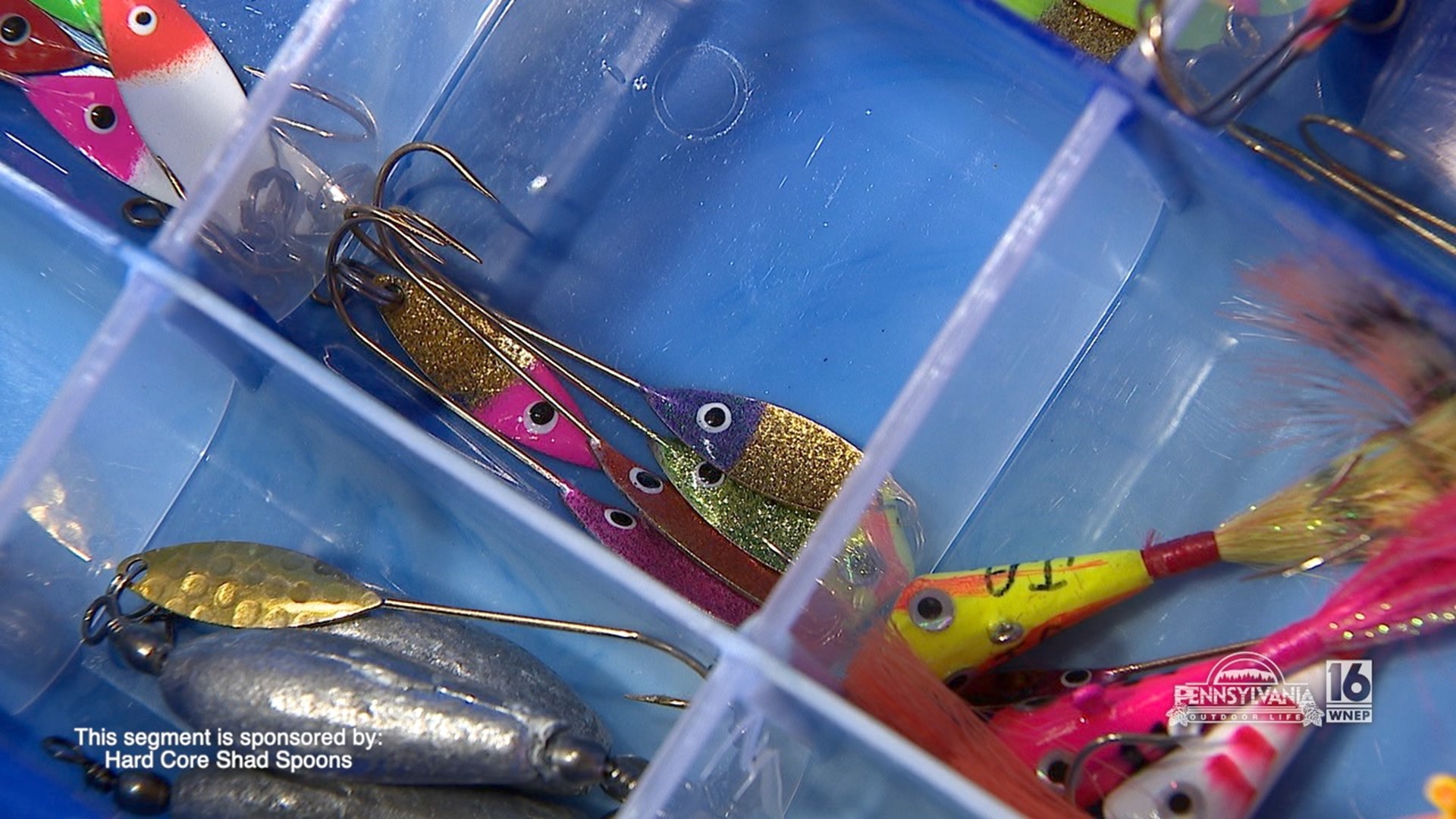 Everything you need for shad fishing in one box.