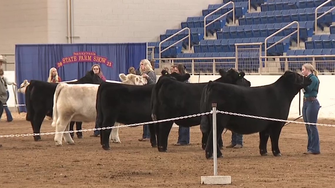 Pennsylvania Farm Show Gets Underway In Harrisburg Wnep pennsylvania-farm-show-gets-underway-in-harrisburg-wnep