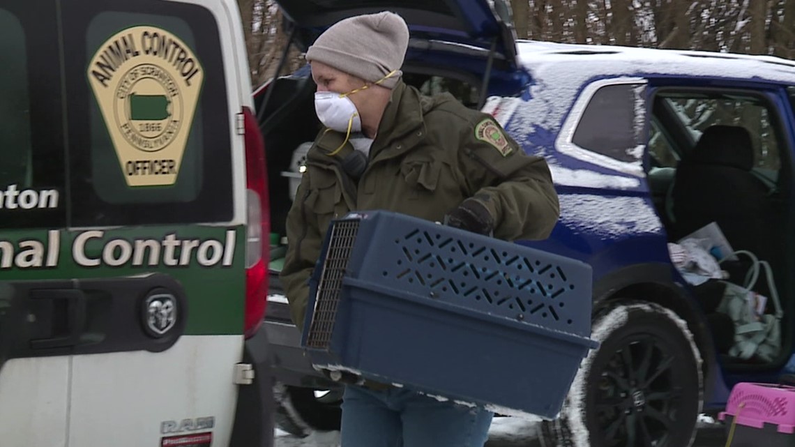 Lackawanna County shelter workers shocked by abused animals - Vimarsana News