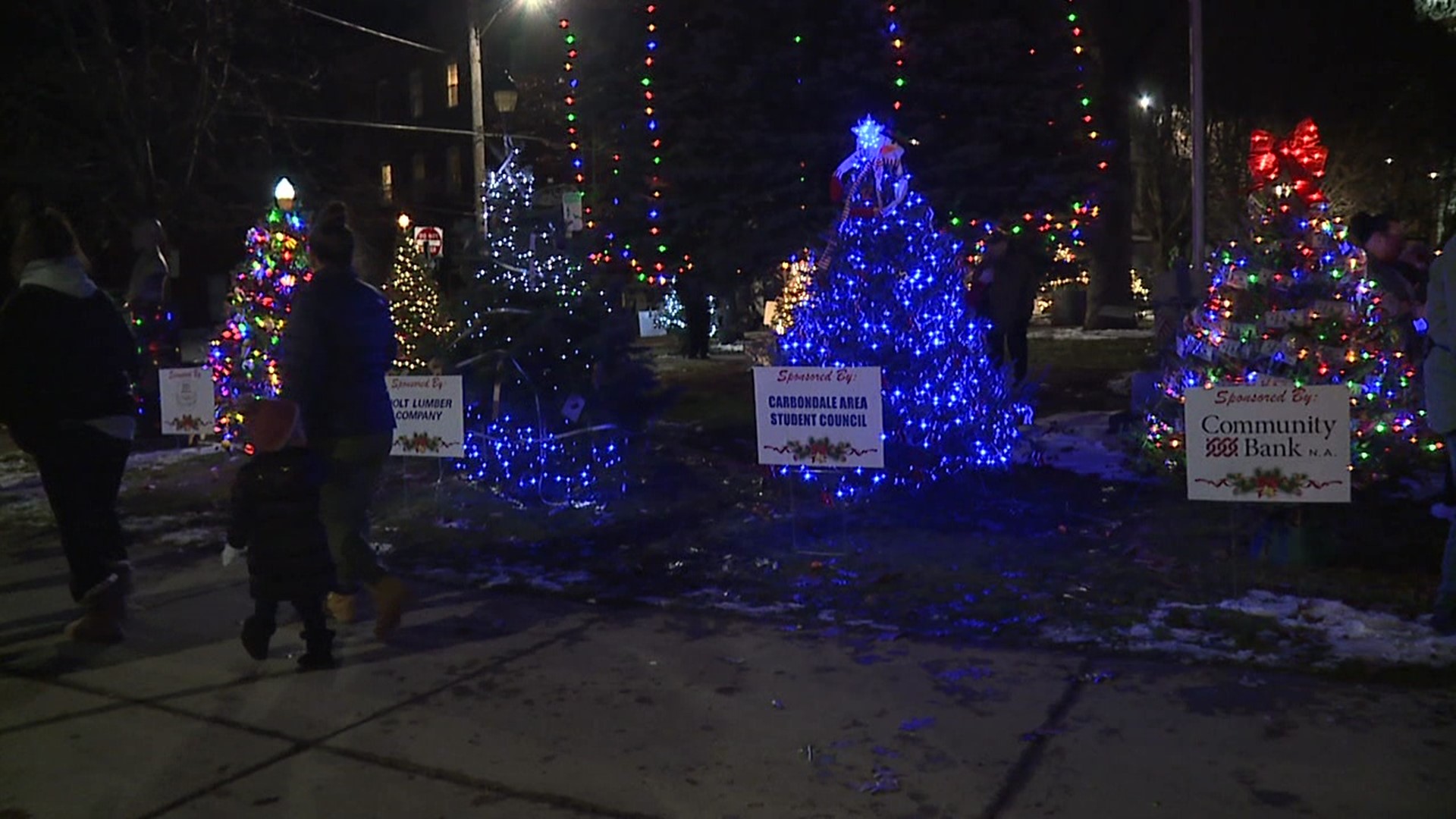 The trail features 17 trees, all of which were decorated by local non-profits and businesses.