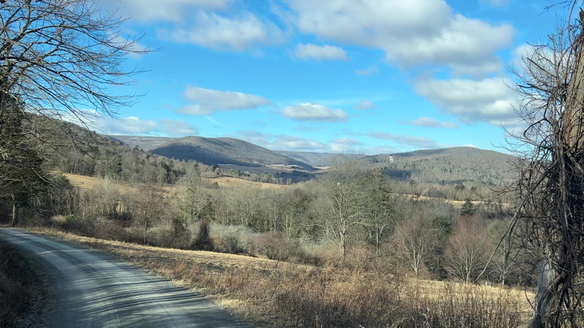 The newly acquired state forest lands of Miller Mountain will be the site of a 25-K trail run in the fall.