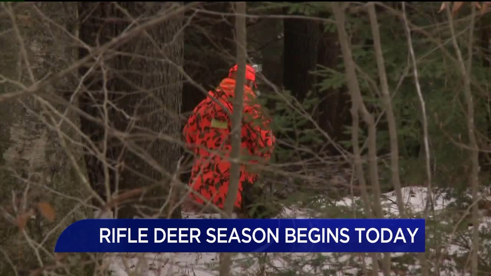 Rifle Deer Season Underway in Lackawanna County