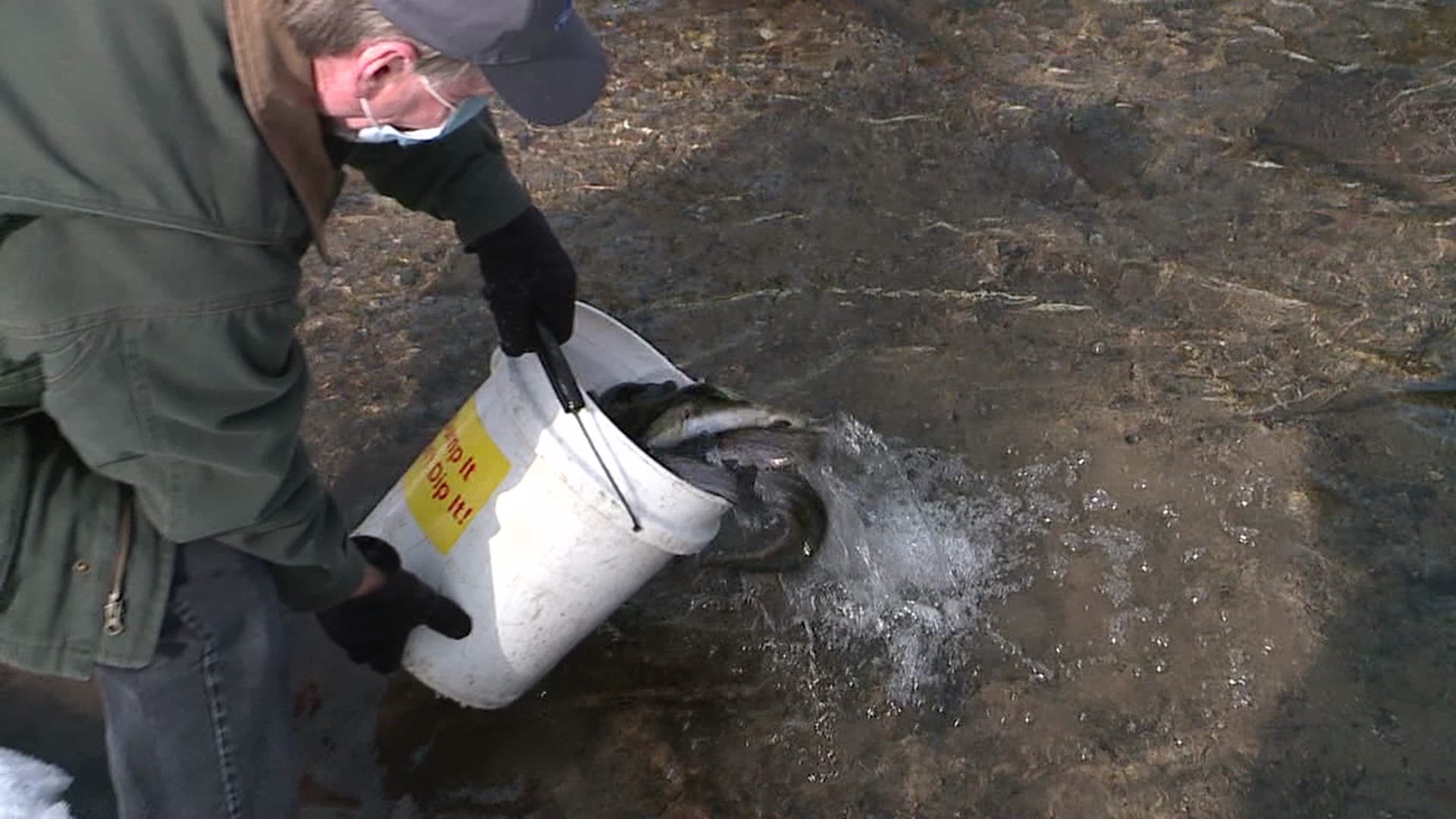 Trout stocking is taking place two weeks earlier than usual.