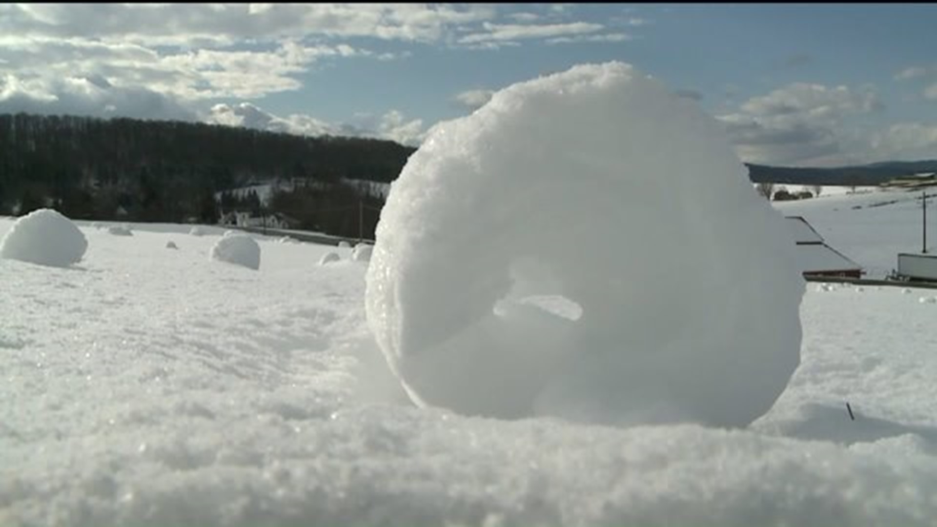 Snow Rollers Blow into Tioga County