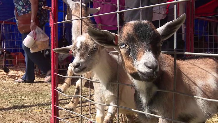 New attractions at the Bloomsburg Fair