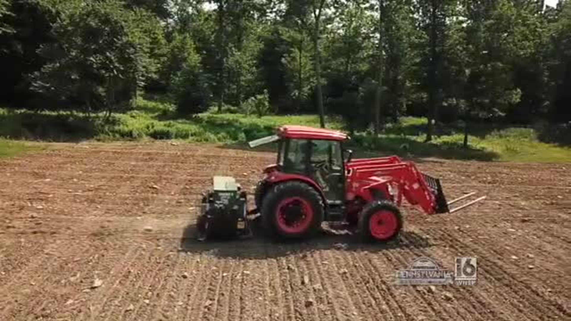 Hoover Tractor Food Plot Technology