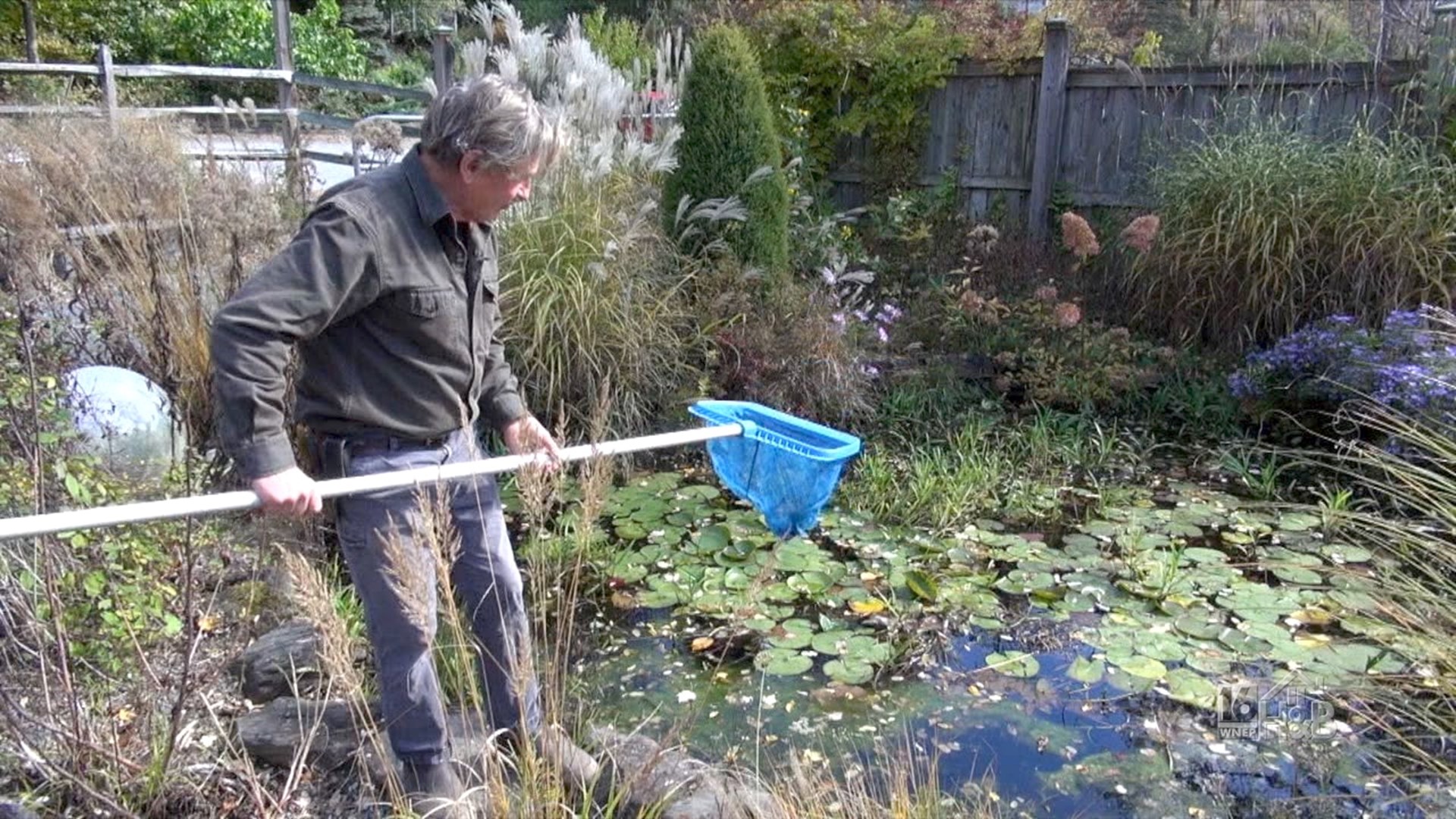 Will You Discover Hidden Gems When You Clean Your Pond?