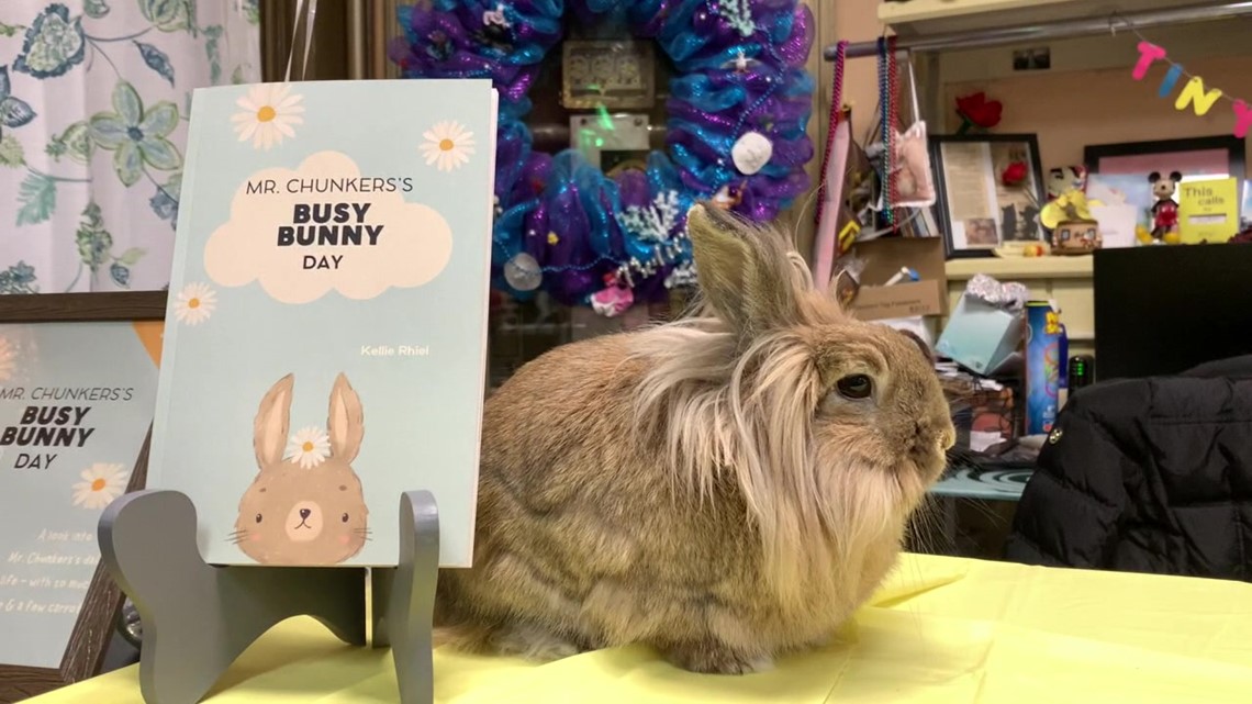 Luzerne County store pet rabbit inspires kids book