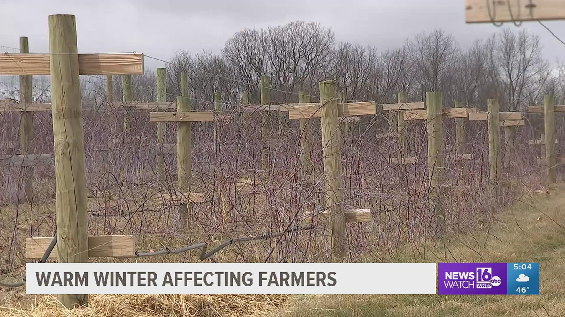 Farmers tell Newswatch 16 that fruit trees can handle the fluctuating temperatures but too much warm weather too early is a concern.