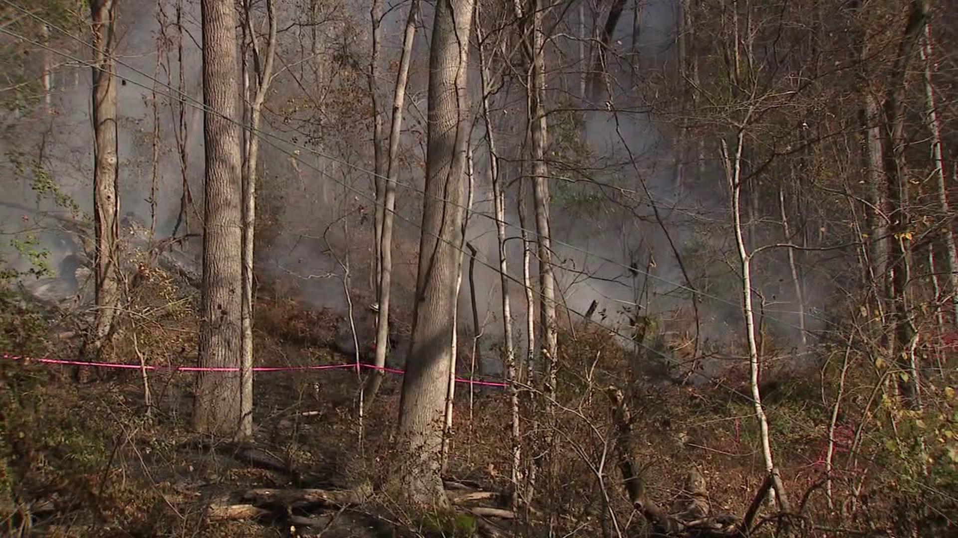 Crews said the fire started around 5 a.m. Friday when a tree fell onto a pole.