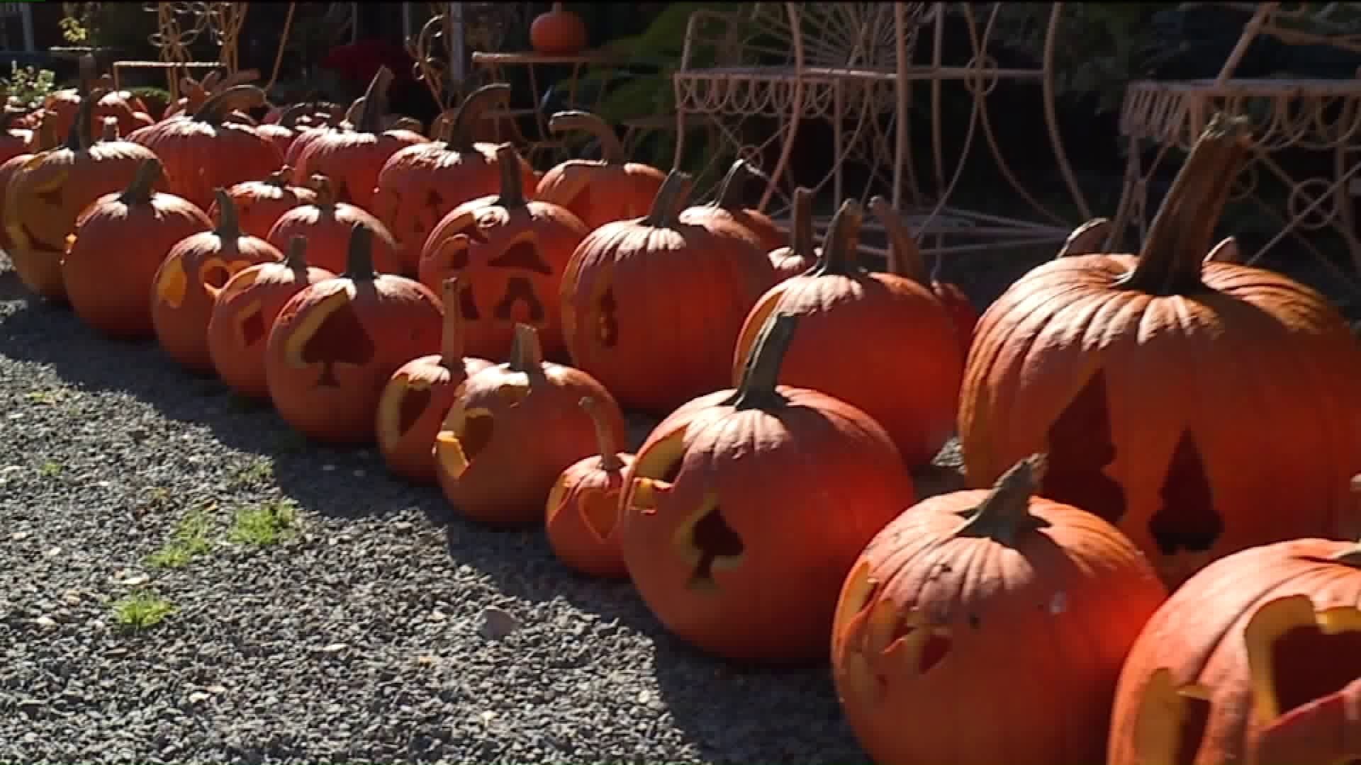 Wyoming County Business Gets in the Fall Spirit