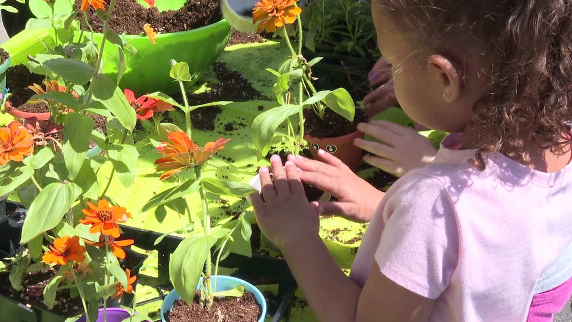 Children at The Growing Patch Early Learning Center plants flowers for those in long-term care facilities.