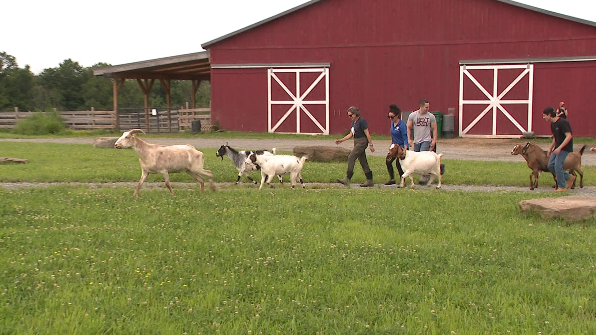 Folks came together Saturday to compete in a fundraiser to help Indraloka Animal Sanctuary.