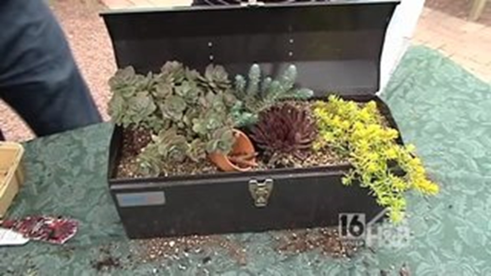 Father's Day Tool Box Planter