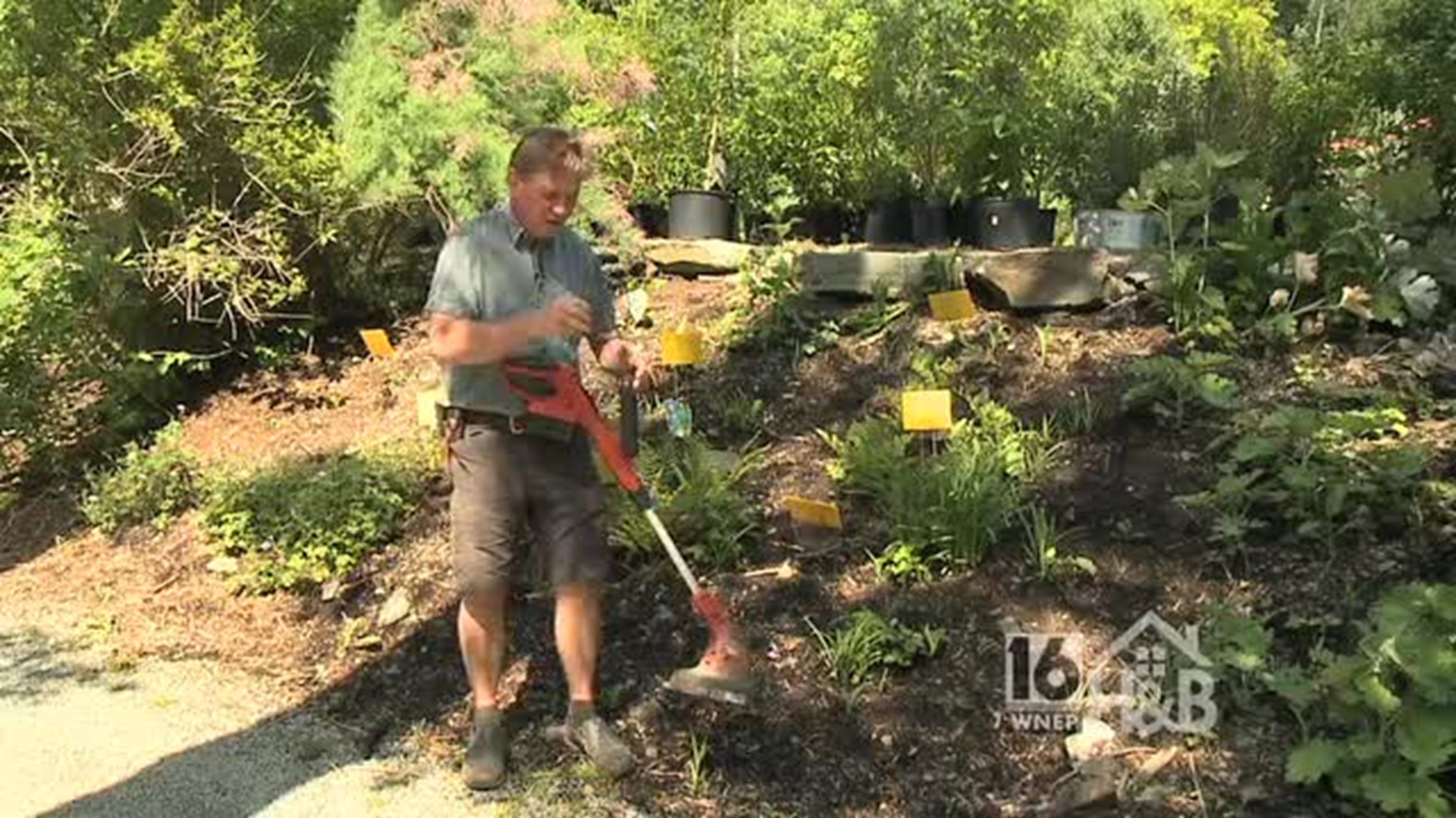 Paul - Summer Garden Maintenance