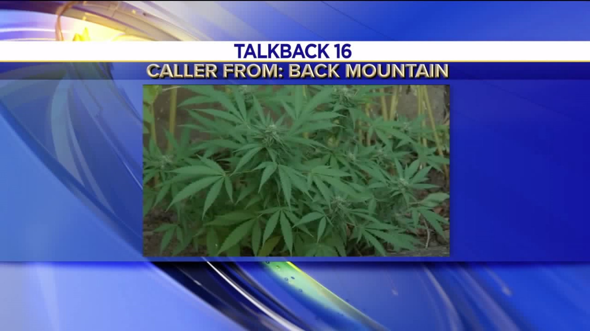 Talkback 16: Marijuana Debate, Rain
