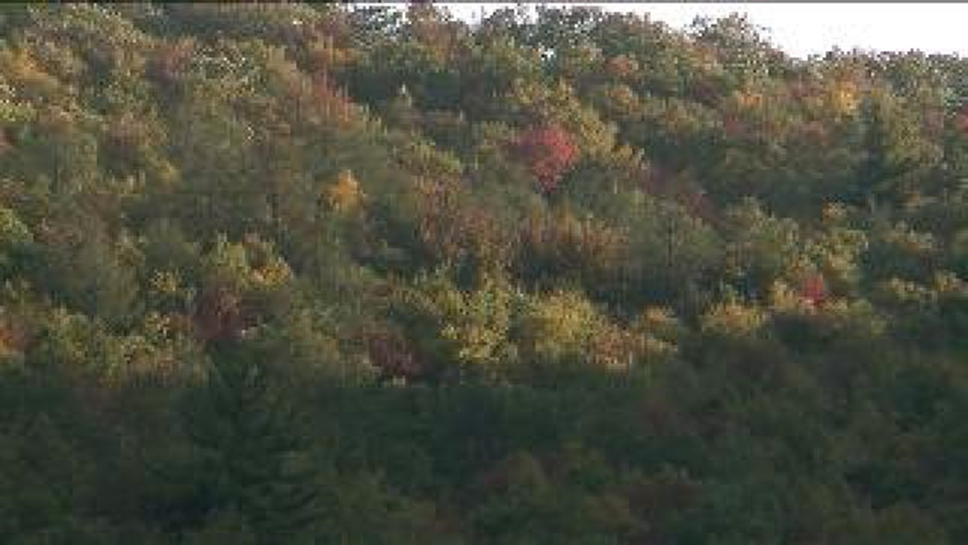 Picture Perfect Fall in Jim Thorpe