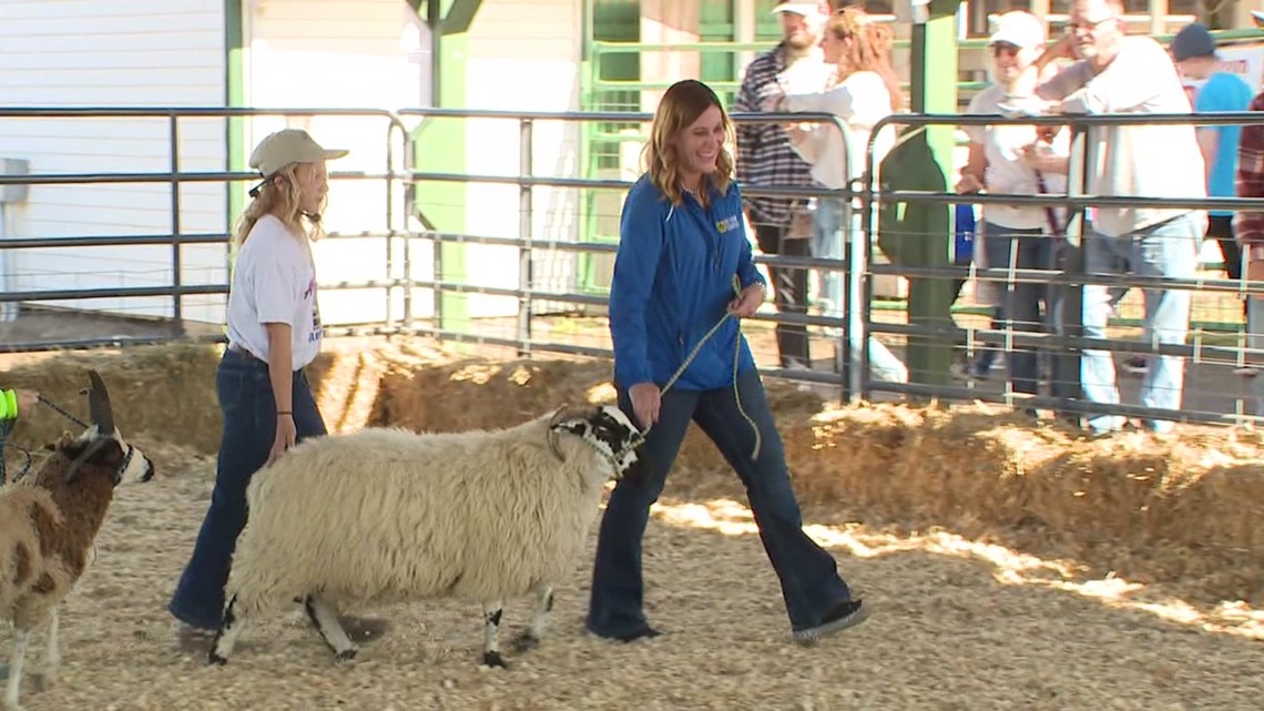 Bloomsburg Fair Learning to show sheep