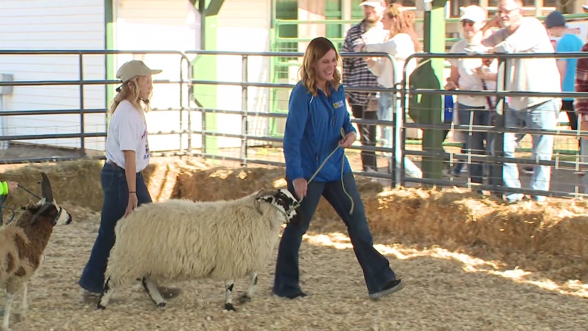 Animals are an important part of the Bloomsburg Fair, and showing them is a big deal for a lot of people.