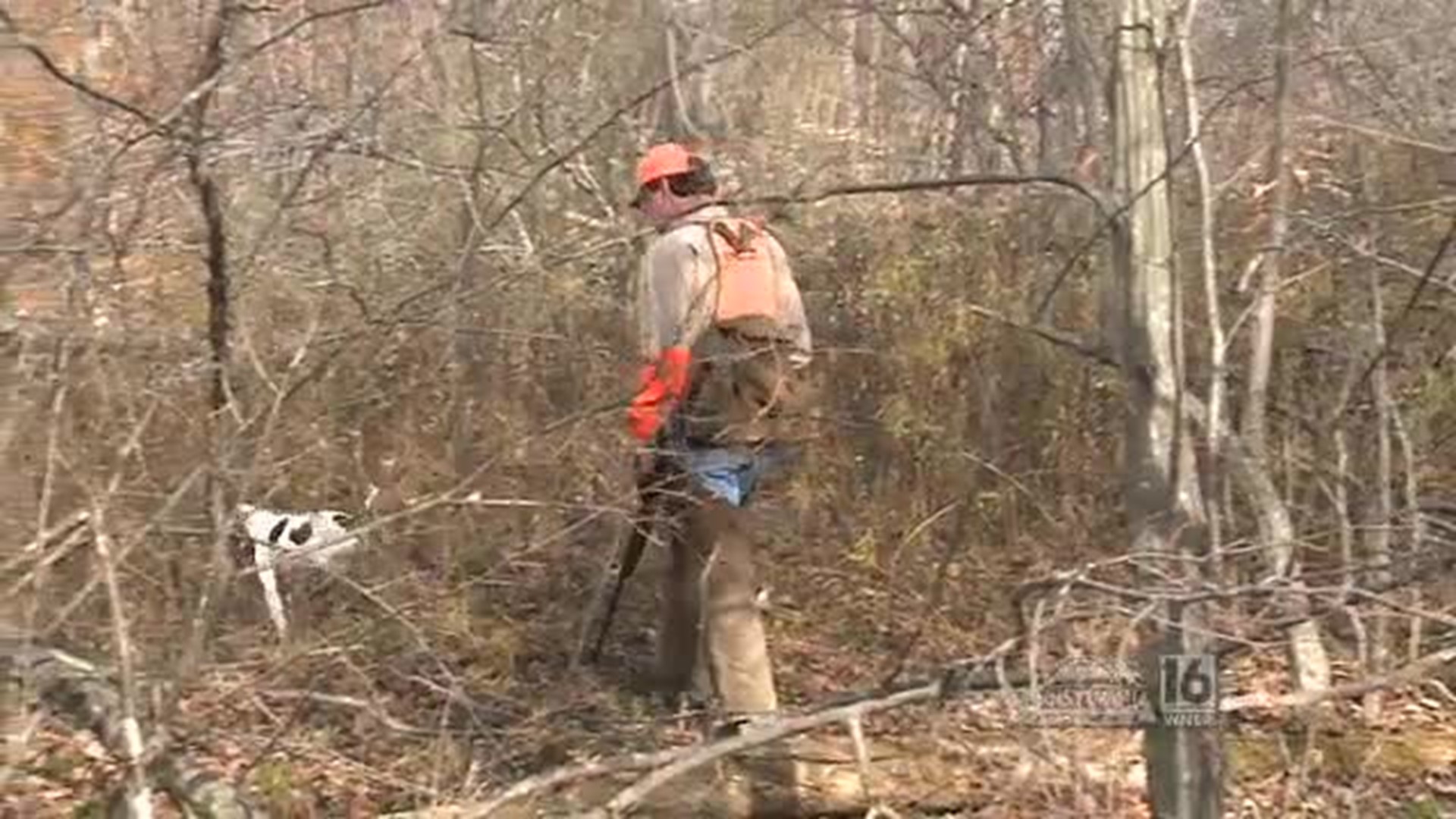 Woodcock and Grouse Hunt