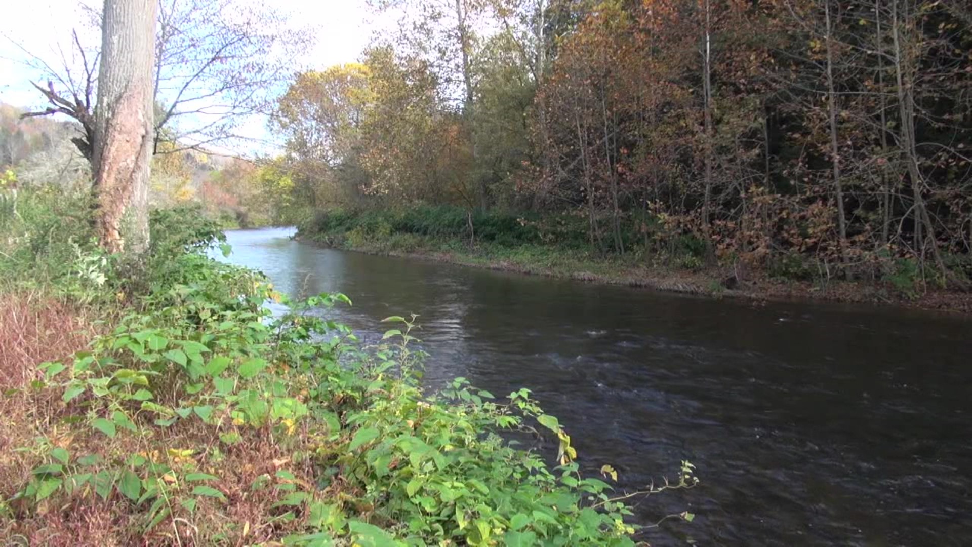 This month, watershed specialists in Susquehanna County are trying to raise awareness about the importance of clean water and protecting our creeks and streams.