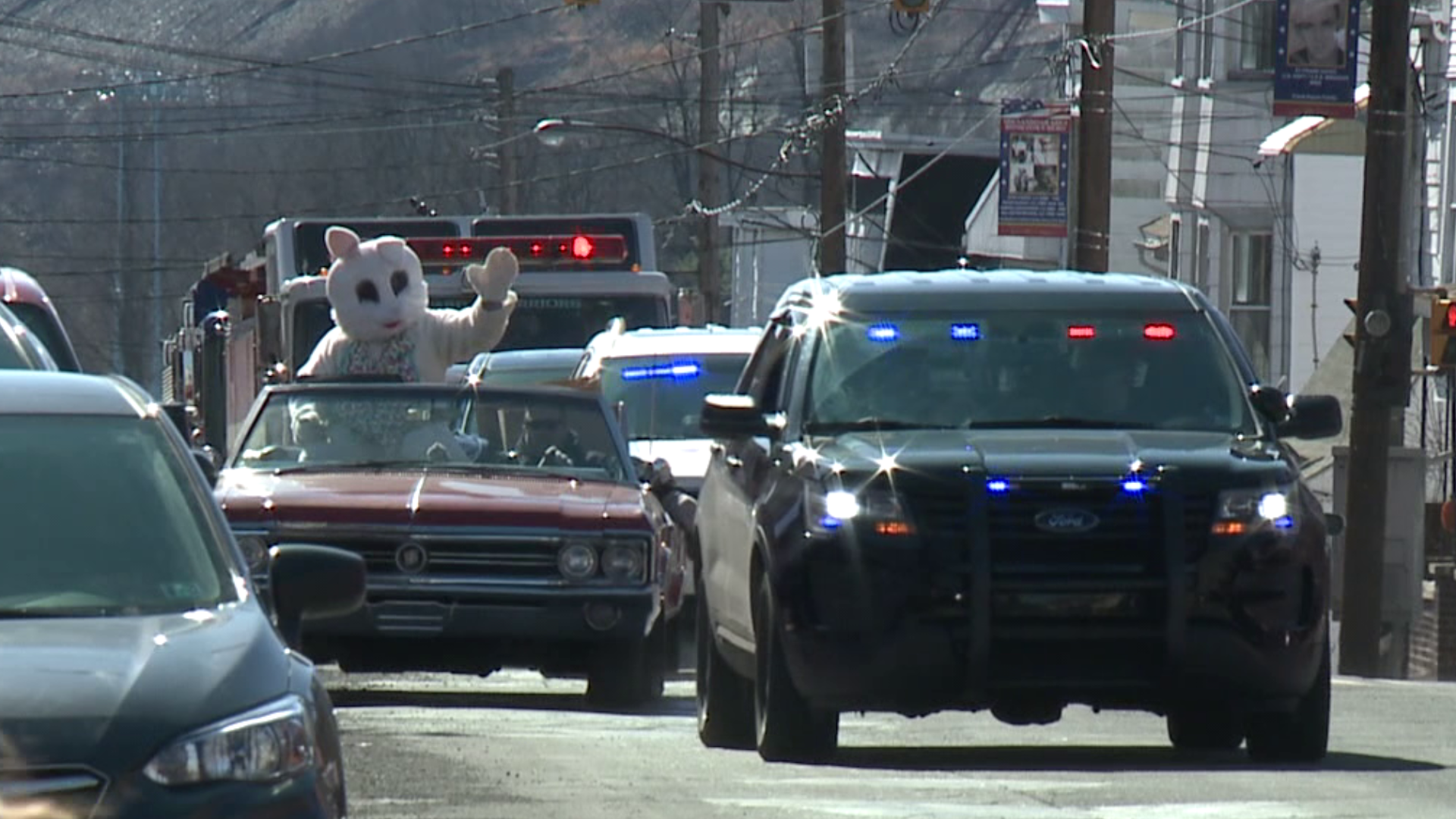 The bunny made several stops around the county on Friday.