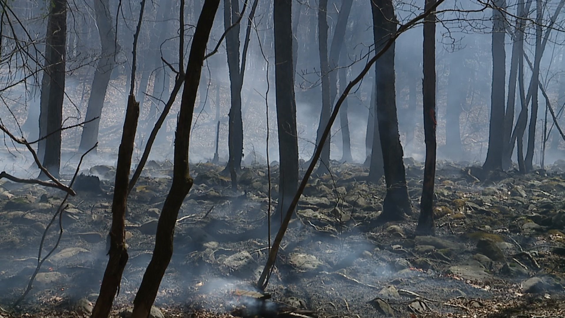 More than 4,000 acres of land have burned near Crystal Lake in Bear Creek Township.