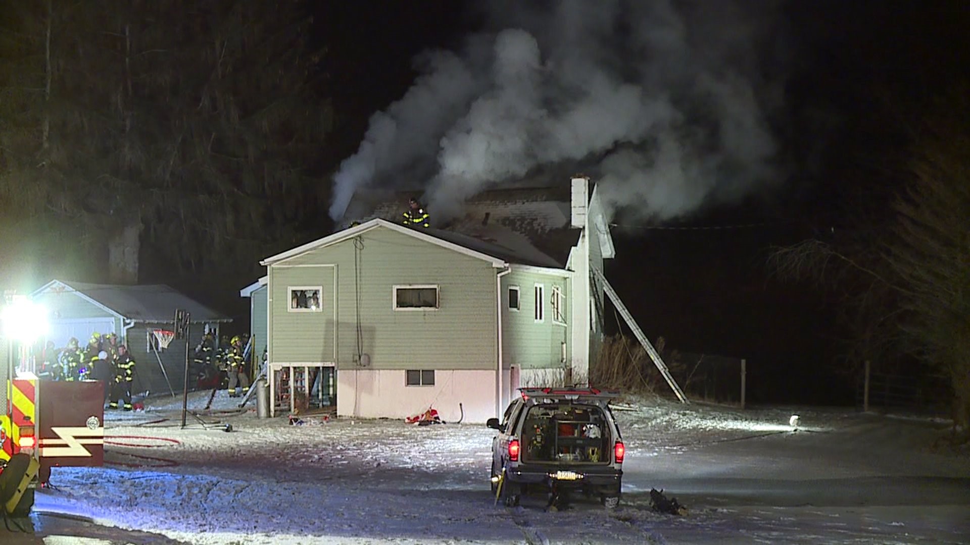 Cats Killed in Susquehanna County Fire