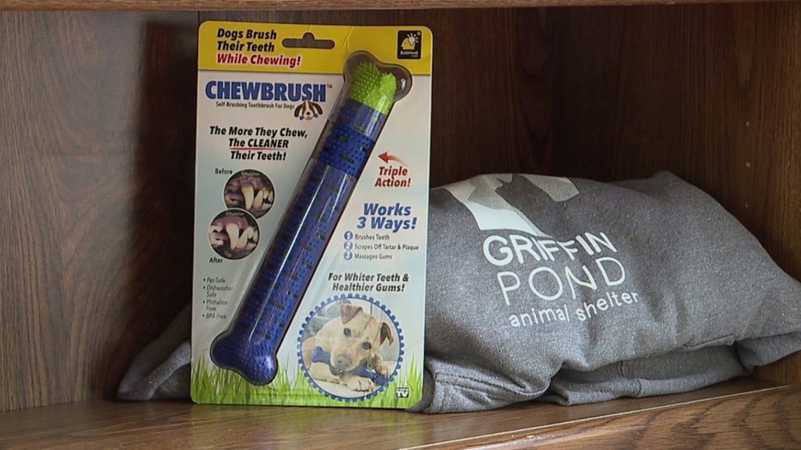 Chewbrush outlet