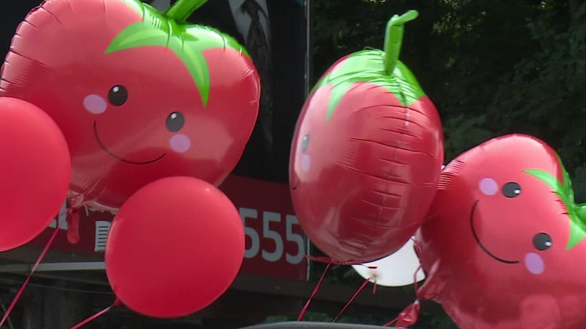 Getting ready for all things tomato in Pittston