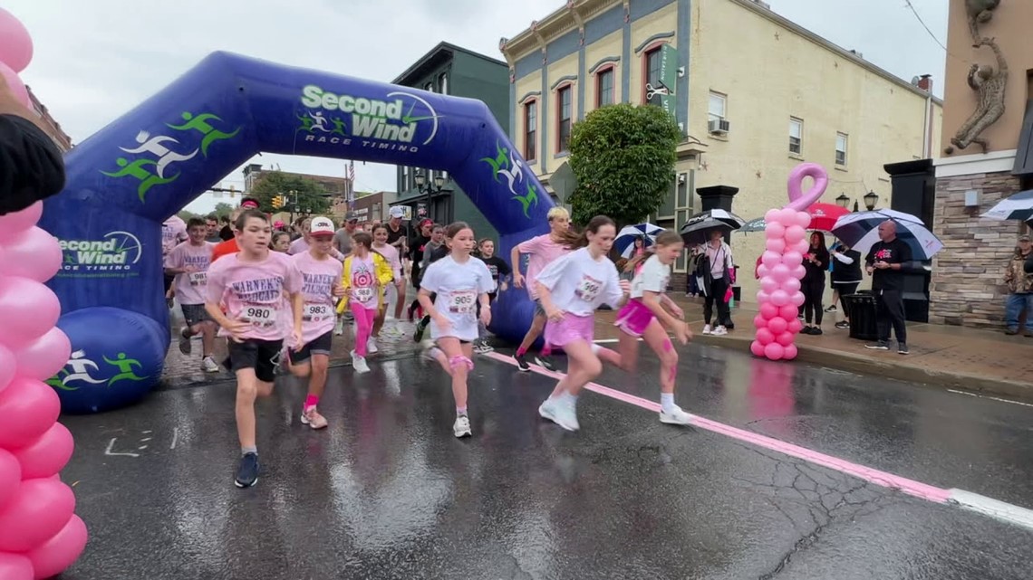 Paint Pittston Pink raises money, awareness for cancer research - Vimarsana News