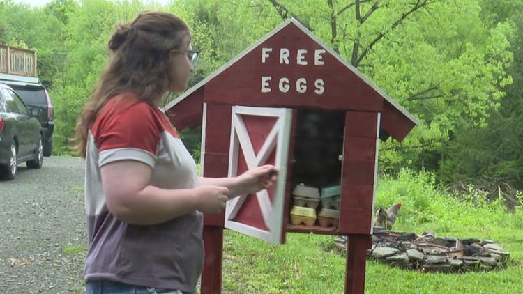 Family in Susquehanna County shares egg-xtra food with community